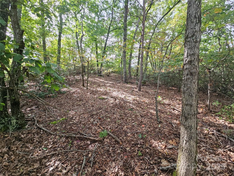 3634 Abee Farm Rd, Connelly Springs, NC 28612