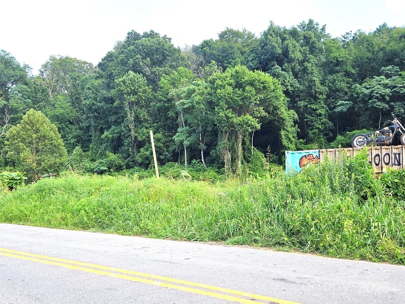 0 Swannanoa River Rd, Asheville, NC 28803
