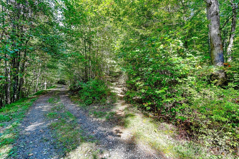 99999 Forest Brook Dr, Black Mountain, NC 28711
