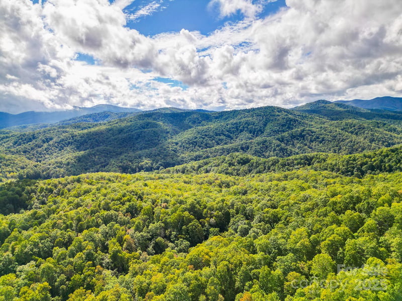 99999 Forest Brook Dr, Black Mountain, NC 28711