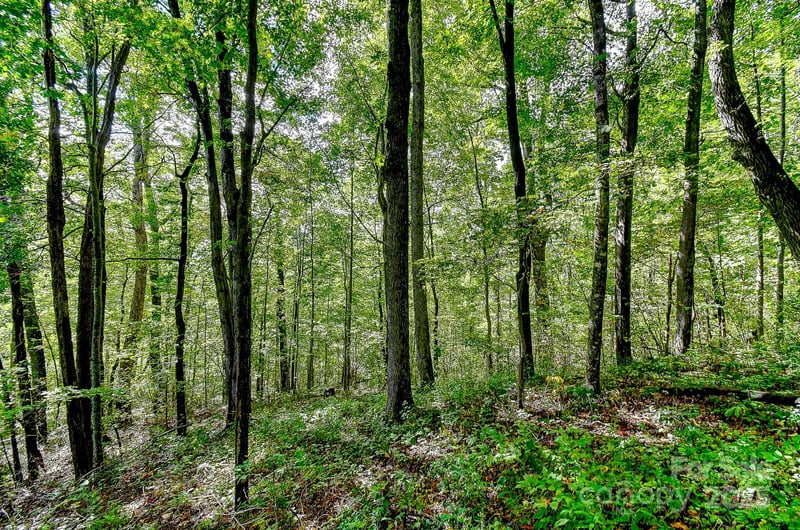 99999 Forest Brook Dr, Black Mountain, NC 28711