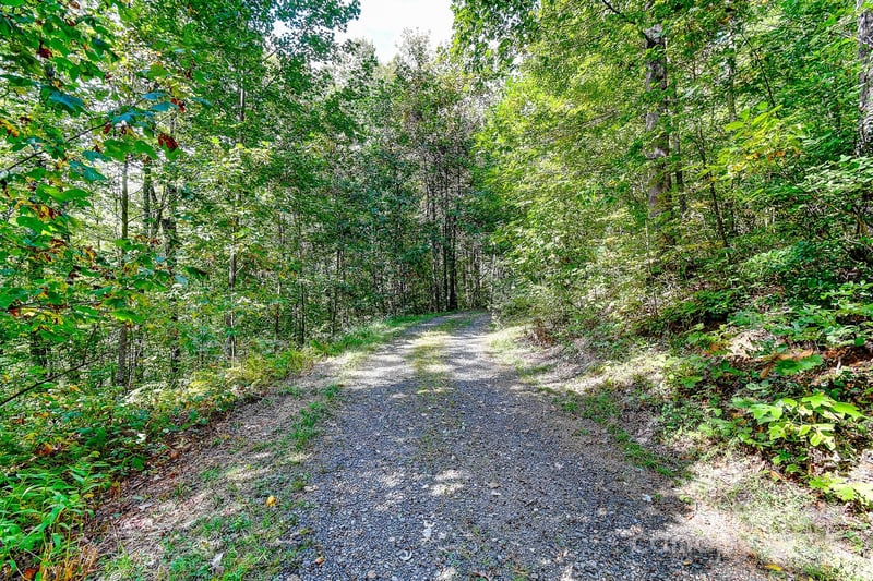 99999 Forest Brook Dr, Black Mountain, NC 28711