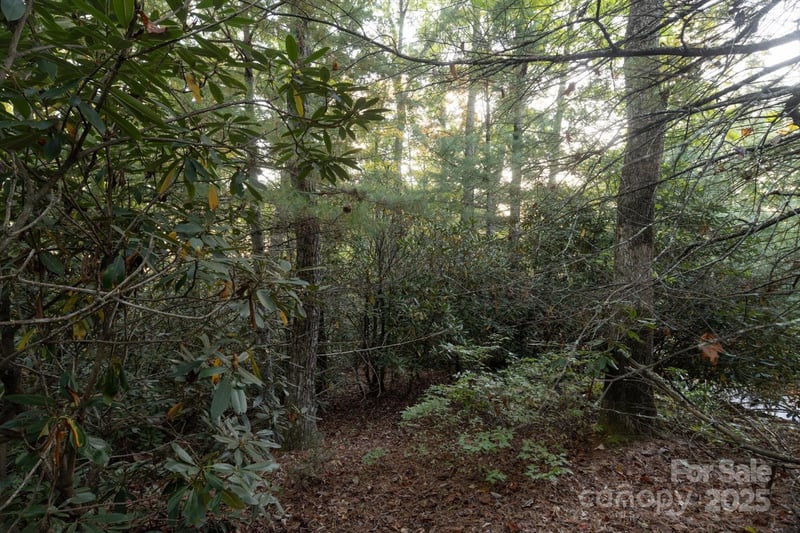 TBD Pine Mountain Trl #M8, Brevard, NC 28712