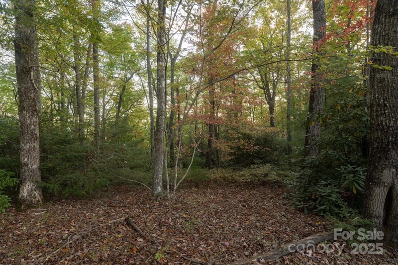 TBD Pine Mountain Trl #M8, Brevard, NC 28712