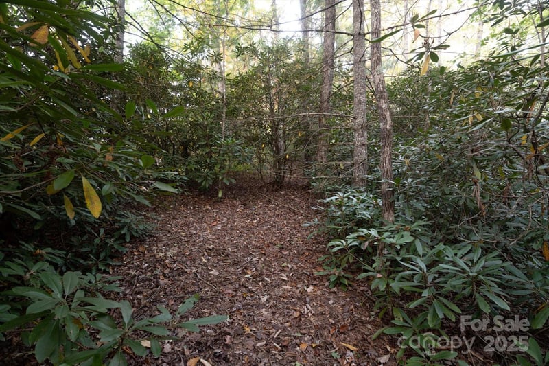 TBD Pine Mountain Trl #M8, Brevard, NC 28712