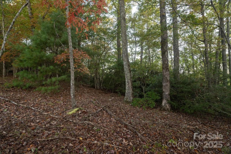 TBD Pine Mountain Trl #M8, Brevard, NC 28712