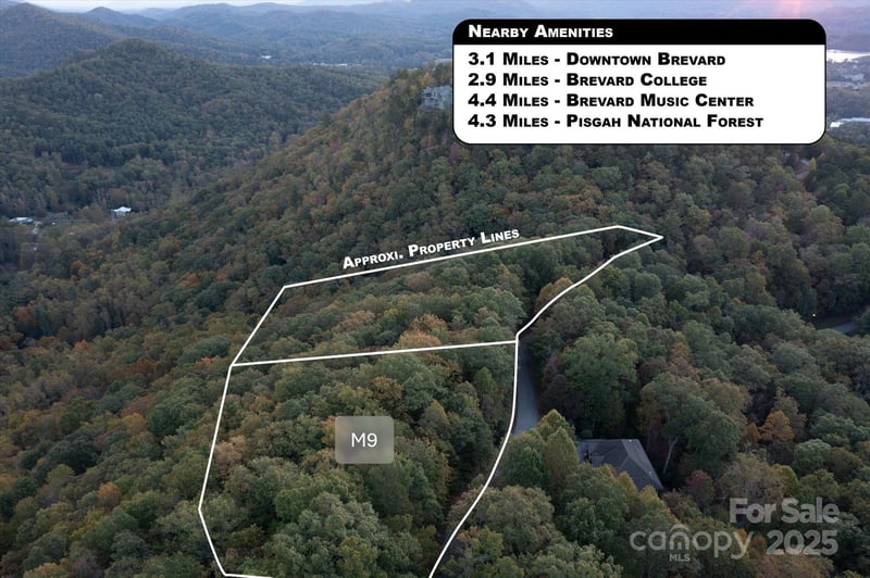 TBD Pine Mountain Trl #M9, Brevard, NC 28712