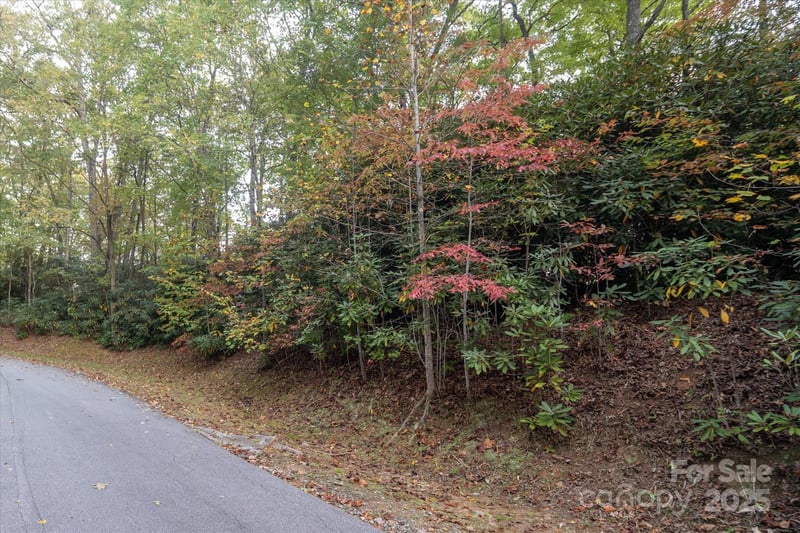 TBD Pine Mountain Trl #M8 & M9, Brevard, NC 28712