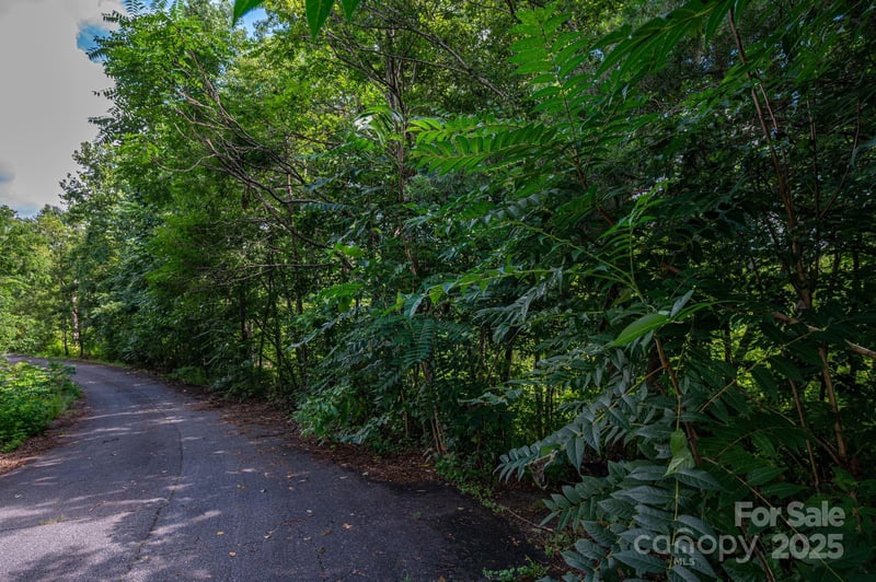 Lot 34 Line Dr, Forest City, NC 28043