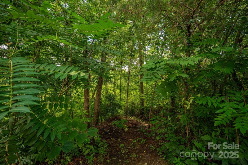 Lot 34 Line Dr, Forest City, NC 28043