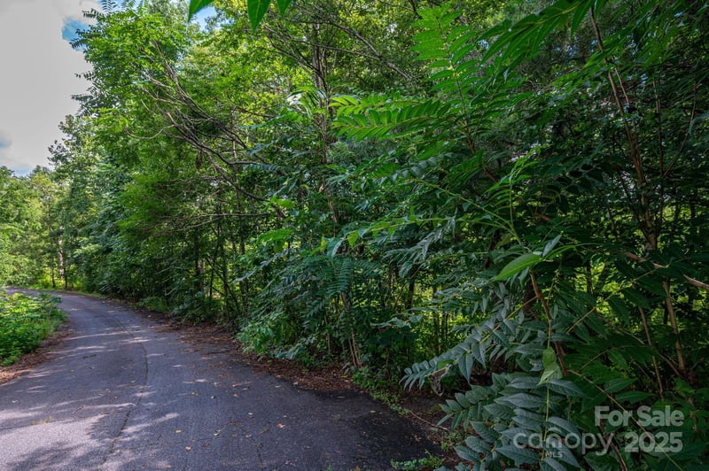 Lot 19 Line Dr, Forest City, NC 28043