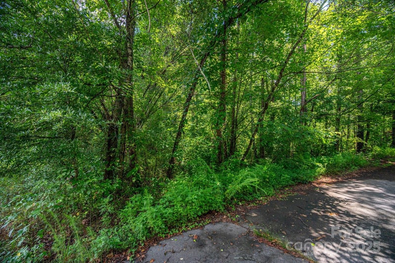 Lot 31 Line Dr, Forest City, NC 28043
