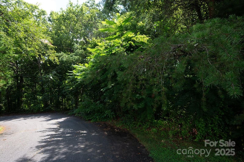 Lot 20 Line Dr, Forest City, NC 28043
