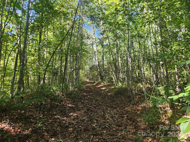 2500 Playmore Beach Rd, Lenoir, NC 28645