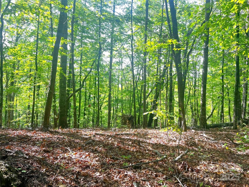 Lot 16 Arrowhead Rg #16R, Brevard, NC 28712