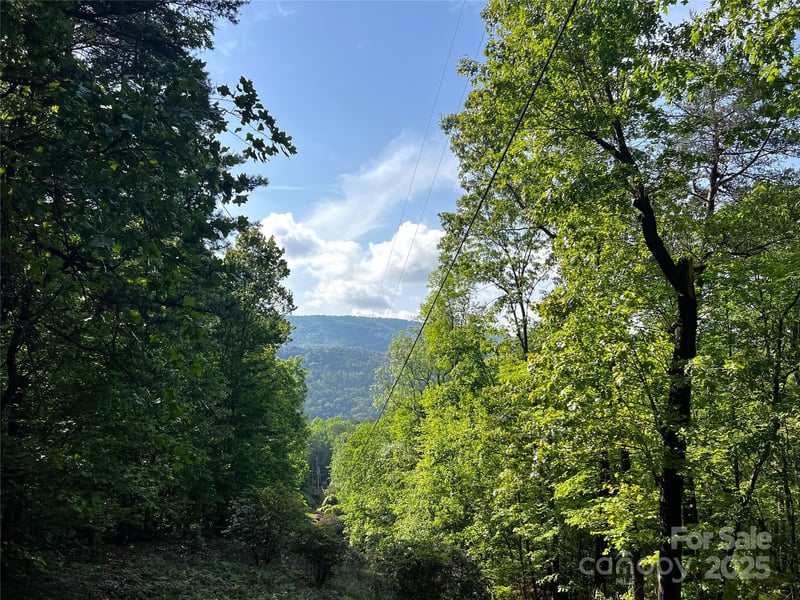 Lot 16 Arrowhead Rg #16R, Brevard, NC 28712