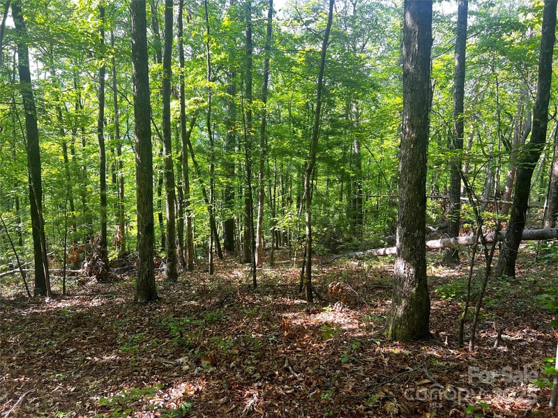 Lot 16 Arrowhead Rg #16R, Brevard, NC 28712