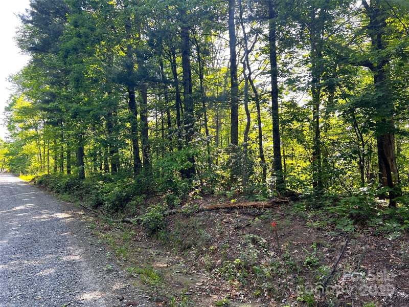 Lot 16 Arrowhead Rg #16R, Brevard, NC 28712