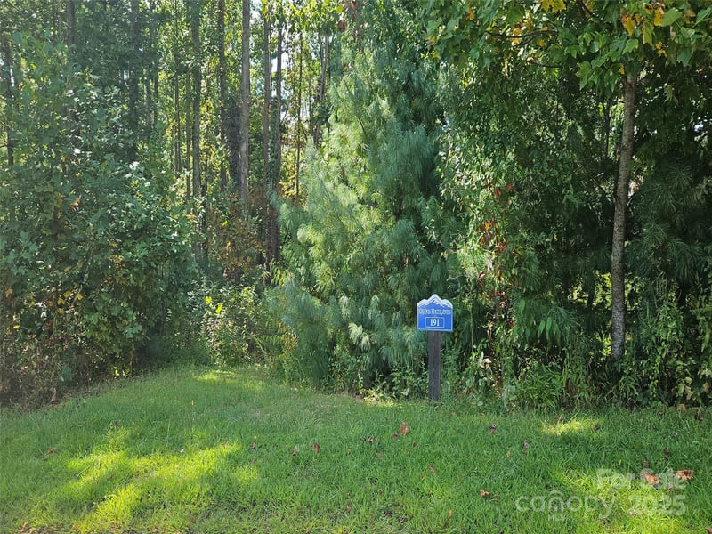 00 Bearwallow Mountain Dr #191, Hendersonville, NC 28792
