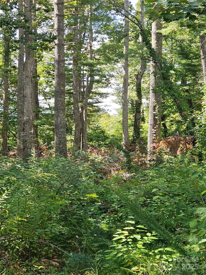 00 Bearwallow Mountain Dr #191, Hendersonville, NC 28792