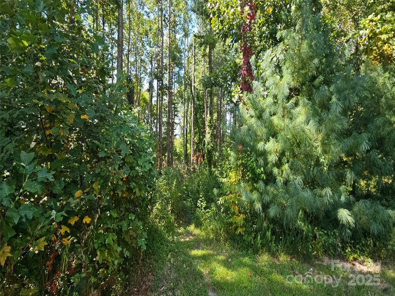 00 Bearwallow Mountain Dr #191, Hendersonville, NC 28792