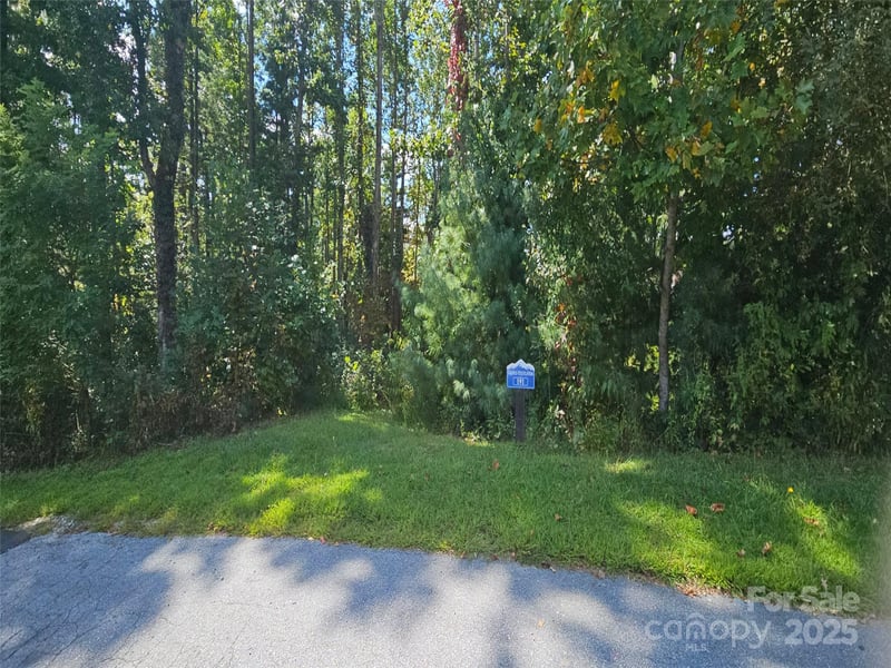 00 Bearwallow Mountain Dr #191, Hendersonville, NC 28792