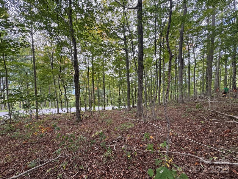 TBD Bear Paw Rd #15, Elk Park, NC 28622