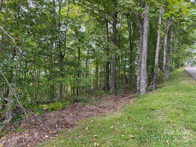 TBD Bear Paw Rd #15, Elk Park, NC 28622