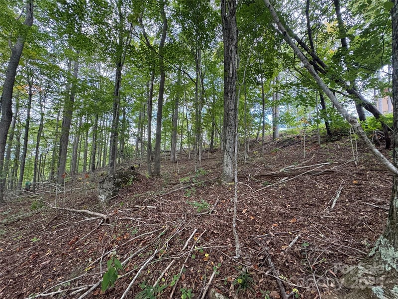 TBD Bear Paw Rd #15, Elk Park, NC 28622