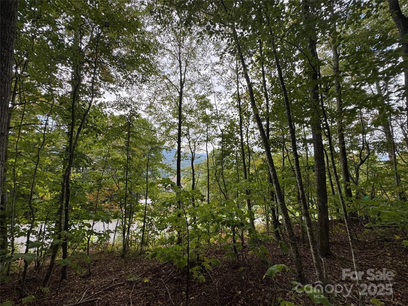 TBD Bear Paw Rd #15, Elk Park, NC 28622
