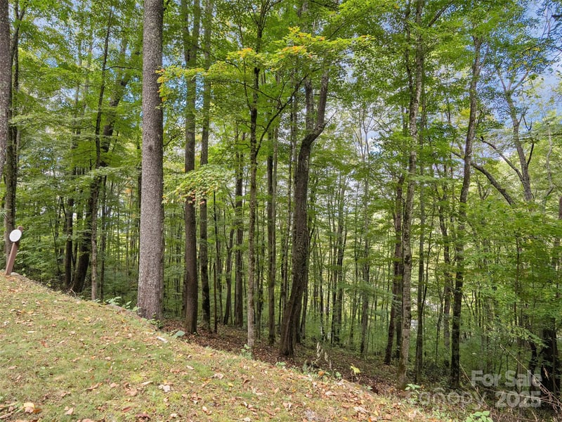 Macallan Dr #16, Waynesville, NC 28786