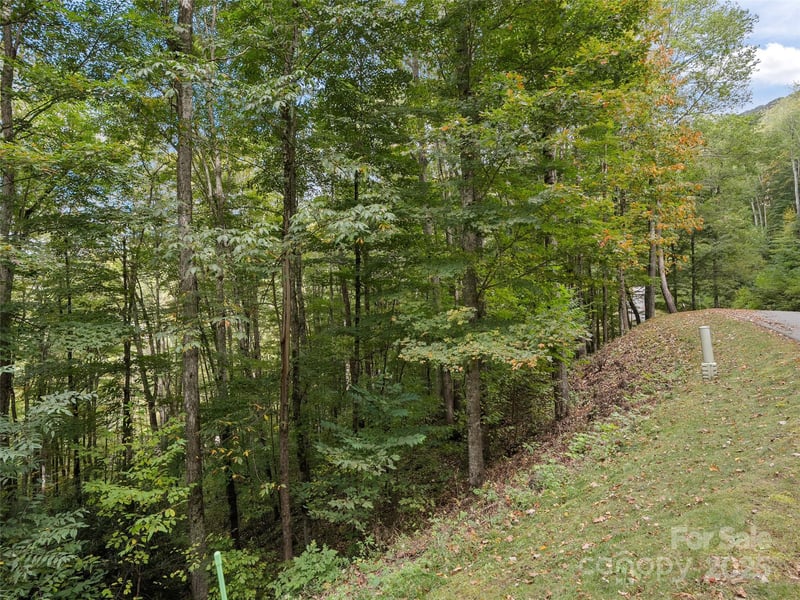 Macallan Dr #16, Waynesville, NC 28786