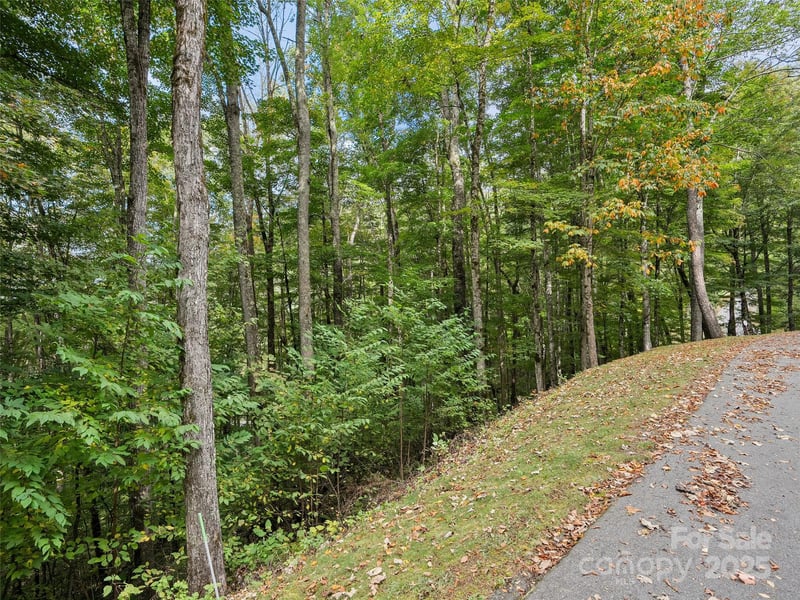 0 Macallan Dr #16, Waynesville, NC 28786