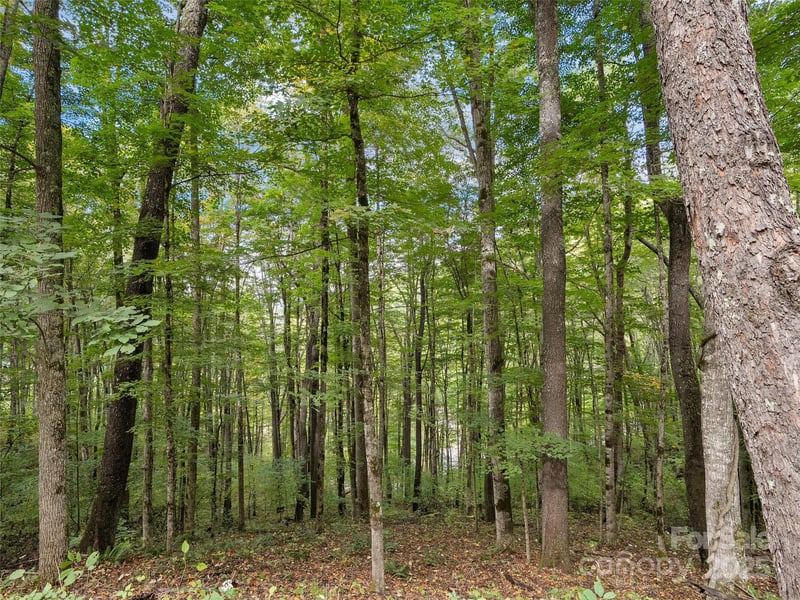 0 Macallan Dr #16, Waynesville, NC 28786