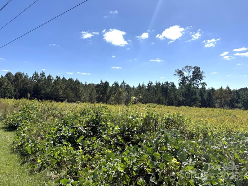 1178 Pea Ridge Rd, Mill Spring, NC 28756