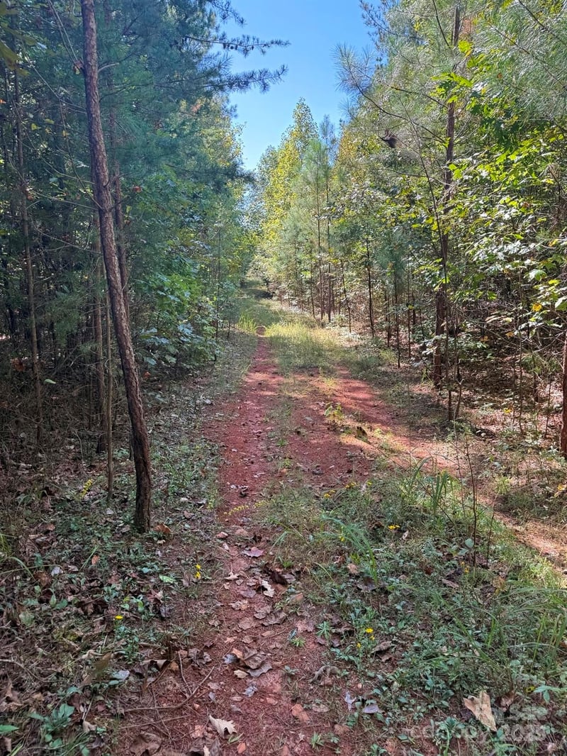 1178 Pea Ridge Rd, Mill Spring, NC 28756