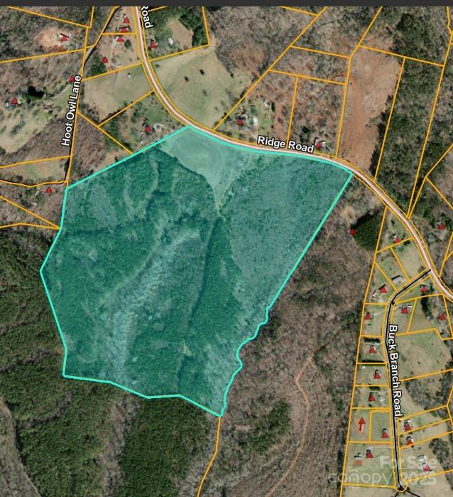 1178 Pea Ridge Rd, Mill Spring, NC 28756