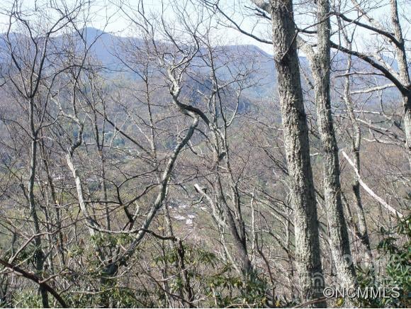 Anglers Ridge Rd #B1, B2,B3,B4, Maggie Valley, NC 28751