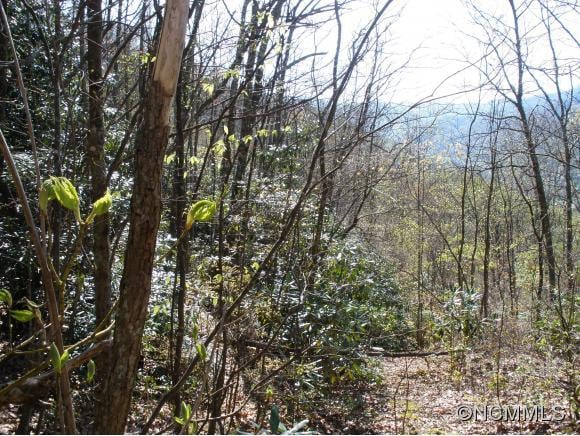 Anglers Ridge Rd #B1, B2,B3,B4, Maggie Valley, NC 28751