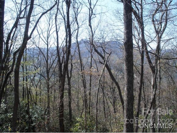 Anglers Ridge Rd #B1, B2,B3,B4, Maggie Valley, NC 28751