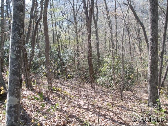 Anglers Ridge Rd #B1, B2,B3,B4, Maggie Valley, NC 28751