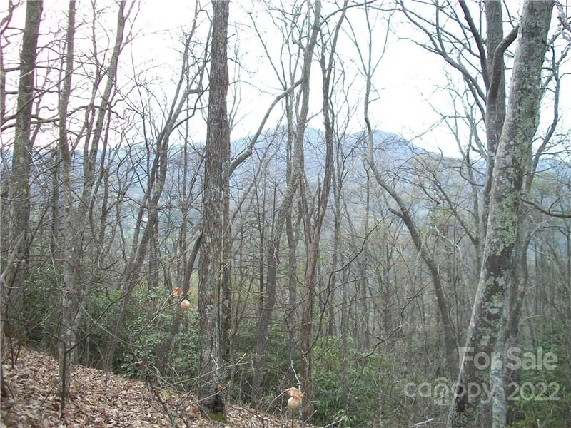 Anglers Ridge Rd #B1, B2,B3,B4, Maggie Valley, NC 28751