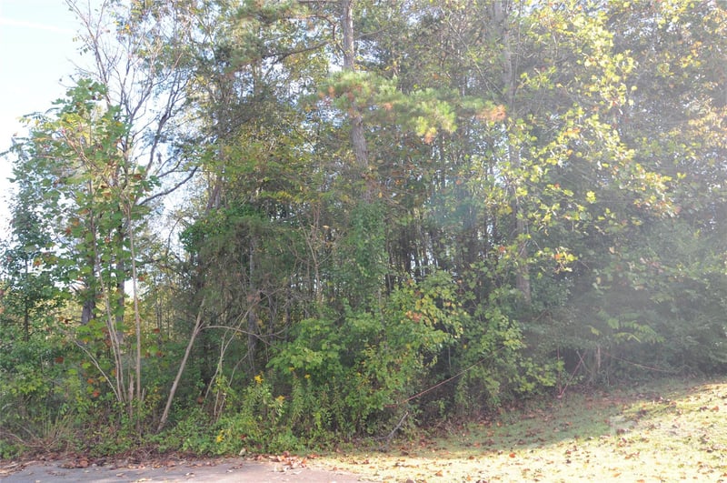2320 Dobbins Ct, Vale, NC 28168