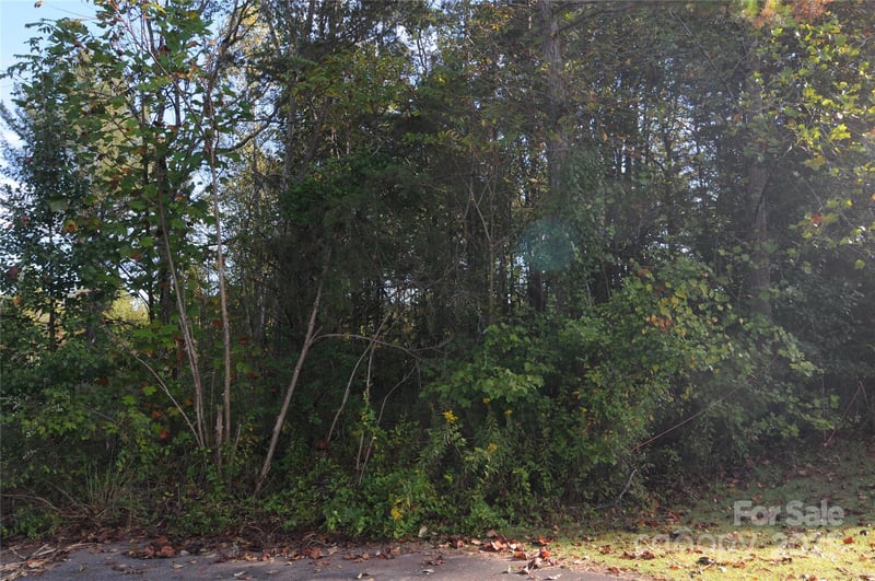 2320 Dobbins Ct, Vale, NC 28168