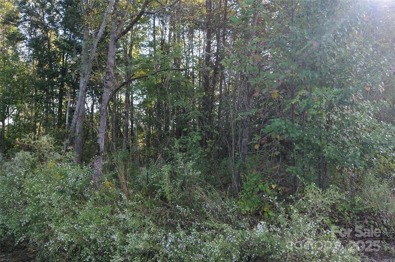 2320 Dobbins Ct, Vale, NC 28168