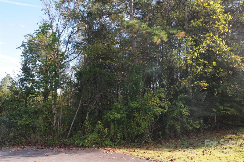 2320 Dobbins Ct, Vale, NC 28168