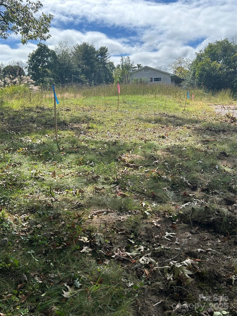 63 Wyatt St, Asheville, NC 28803