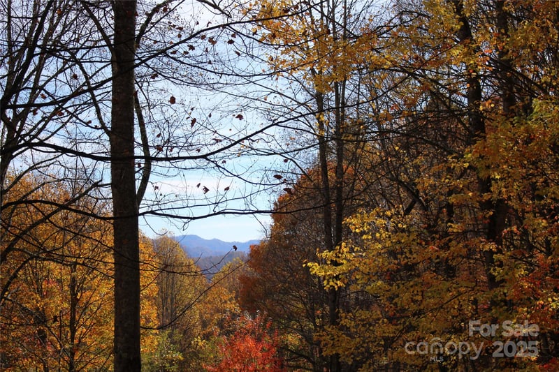 1571 Roaring Fork Rd, Burnsville, NC 28714