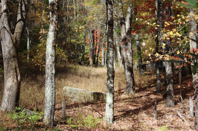 1571 Roaring Fork Rd, Burnsville, NC 28714