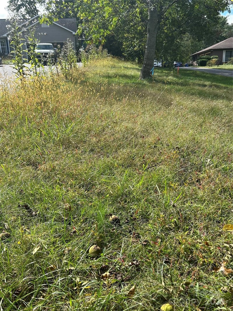 59 Wyatt St, Asheville, NC 28803